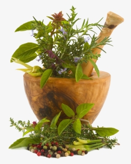 Chinese Herbs Png Image - Renuka Devi Herbal Oil, Transparent Png, Free Download
