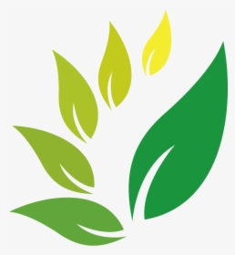 Jamu Herb Indian Jujube Herbal Logo Clipart - Transparent Herbal Logo Png, Png Download, Free Download