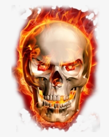 Burning Skeleton Png Download - Fire Skull Png, Transparent Png, Free Download