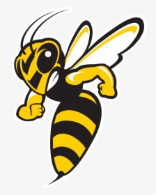 Head Vector Hornet - Baldwin Wallace Yellow Jackets, HD Png Download, Free Download