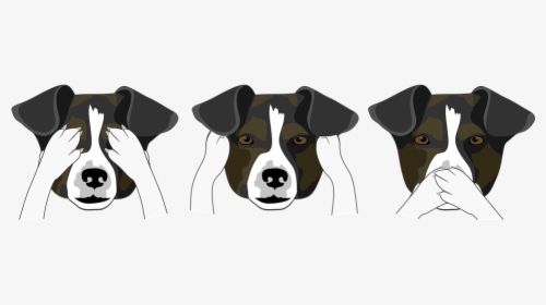 Dogs, Heads, Funny, Pet, Animal, Head, Animal Portrait - Hear No Evil See No Evil Speak No Evil Dogs, HD Png Download, Free Download