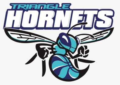 Charlotte Hornets, HD Png Download, Free Download