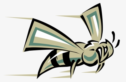Transparent Free Hornet Mascot Clipart - Sacramento State University Mascot, HD Png Download, Free Download