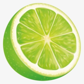 A Sliced Lime Wedge - 果物 イラスト ライム, HD Png Download, Free Download