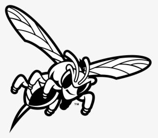 Delaware State Hornets Logo Black And White - Killer Bees, HD Png Download, Free Download