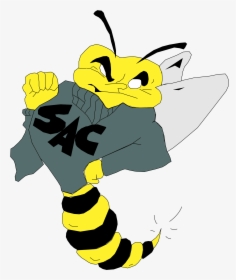 Sacramento State Hornets Logo Png Transparent - Sac State Hornet Logo, Png Download, Free Download
