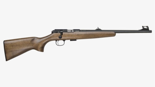 Ruger 10 22 Takedown Mica, HD Png Download, Free Download