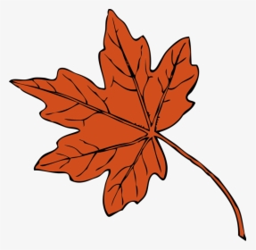 Maple Leaf Drawing Autumn Leaf Color Red Maple Cc0 - Maple Leaf Clipart, HD Png Download, Free Download