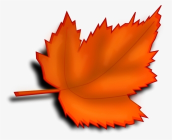Plant,flower,leaf - Leaf Clipart Transparent Background, HD Png Download, Free Download