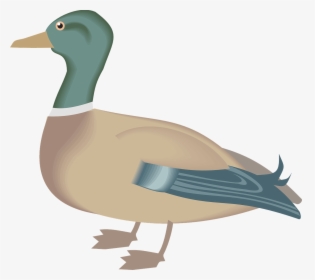 Download Free Png Gambar Vektor Gratis - Farm Animal Duck Clipart, Transparent Png, Free Download