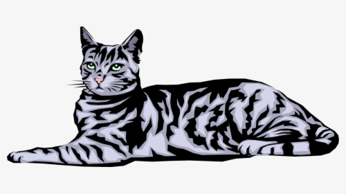 Vector Illustration Of Housecat Small Domesticated - Asian, HD Png Download, Free Download