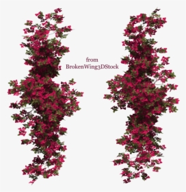 Flowers Png Top View, Transparent Png, Free Download