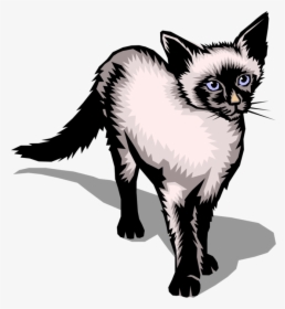 Vector Illustration Of Family Pet Small Domesticated - Vector Graphics, HD Png Download, Free Download