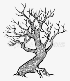 Twisting Tree Drawing, HD Png Download, Free Download