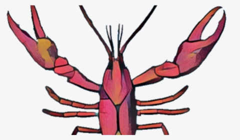 Lobster Clipart Crawfish Boil, HD Png Download, Free Download