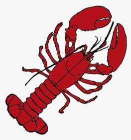Lobster Drawing Png, Transparent Png, Free Download