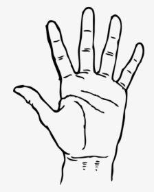 Clip Art Hand - Hand Clipart Black And White, HD Png Download, Free Download