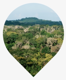 Wider Taï Forest Area, Côte D"ivoire - Cote D Ivoire Landscape, HD Png Download, Free Download