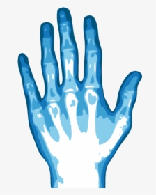 X-ray Png Image Background - Xray Png, Transparent Png, Free Download