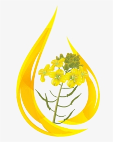 Oil Clipart Mustard Oil - Mustard Oil Drop, HD Png Download, Free Download