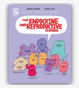 Cartoon Endocrine System Organs, HD Png Download, Free Download