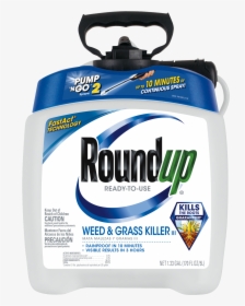 Walmart Roundup, HD Png Download, Free Download