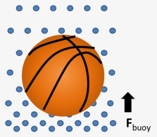 Buoy Ball - Projectile Basketball, HD Png Download, Free Download