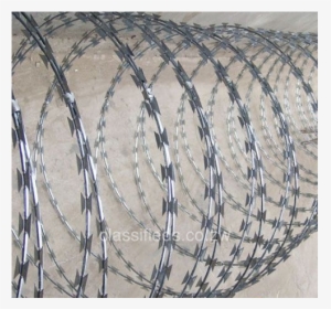 Barbed Wire Fence Png, Transparent Png, Free Download