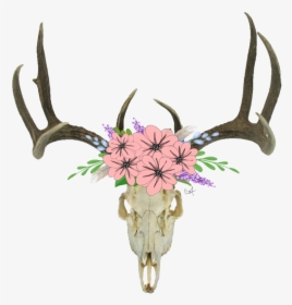 Download Skull Antlers Flowers - Deer Skull Transparent Background, HD Png Download, Free Download