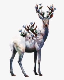 Drawing Antlers Deer Antler - Deer Painting Png, Transparent Png, Free Download