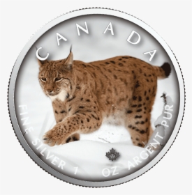 Lynx Trails Of Wildlife Maple Leaf 1 Oz - Lynx Lynx, HD Png Download, Free Download