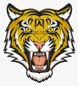 Tiger Head Clipart , Png Download - Tiger Face Colour Drawing, Transparent Png, Free Download