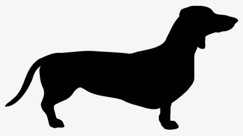 Dog, Dachshund, Breed, Pet, Coat, Doggy, The Silhouette - Dachshund Silhouette, HD Png Download, Free Download