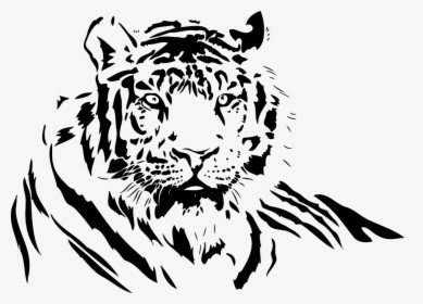 Tiger Painting Black And White, HD Png Download, Free Download