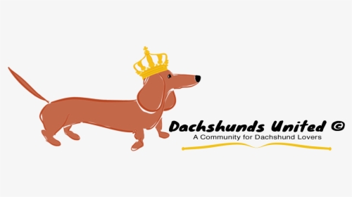 Dachshunds United - Dachshund, HD Png Download, Free Download