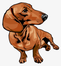 Vector Illustration Of Cute Dachshund Dog Sitting And - Dachshund Cartoon, HD Png Download, Free Download