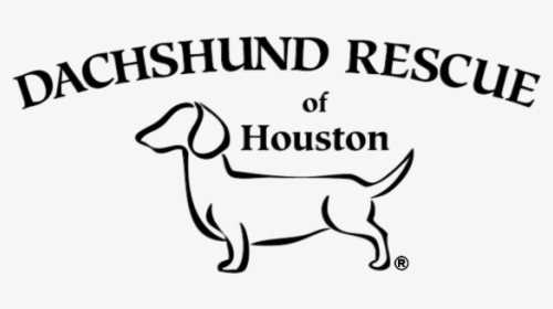 Dachshund Rescue Of Houston, HD Png Download, Free Download