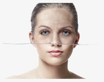 Female Face Transparent Image - Lanbena Vitamin C Serum Benefits, HD Png Download, Free Download