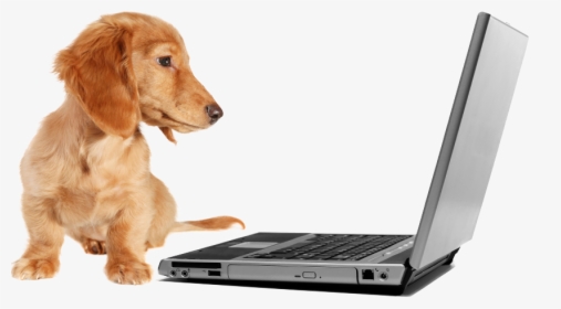 19 Things They Don"t Tell You About Graduate School - Dachshund On A Computer, HD Png Download, Free Download