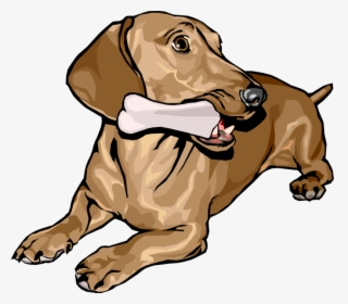 Vector Illustration Of Cute Dachshund Dog Lying Down - Symbols From The Landlady, HD Png Download, Free Download