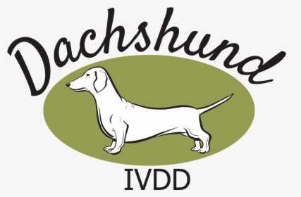 The Dachshund Breed Council Uk - Longdog, HD Png Download, Free Download
