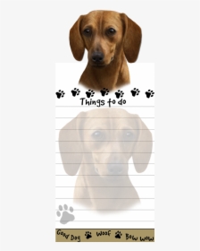 Dachshund, Red - Dog, HD Png Download, Free Download