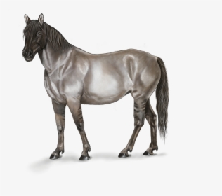 Transparent Horse Head Mask Png - Digital Art Horse, Png Download, Free Download