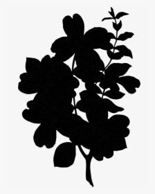 Flowering Plant Silhouette Leaf Plants - Silhouette, HD Png Download, Free Download