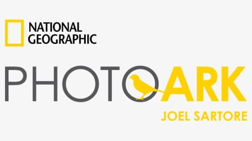 Transparent National Geographic Logo Png - National Geographic Photo Ark Logo, Png Download, Free Download