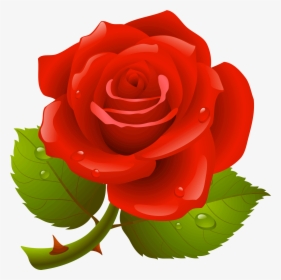 Red Rose Vector Free , Png Download - Rose Hd Photo Download, Transparent Png, Free Download