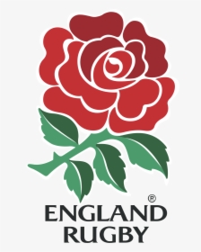England Rugby Logo Vector - Vector England Rugby Logo, HD Png Download, Free Download