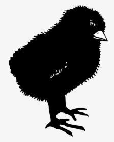 Chicken Bird Clip Art - Black Baby Chicken Clipart, HD Png Download, Free Download