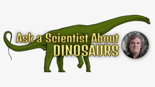 Ask A Scientist About Dinosaurs And Headshot Of Mark - Giant Anteater, HD Png Download, Free Download