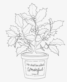 2018 Christmas Poinsettia - Flame Adult Coloring Pages, HD Png Download, Free Download